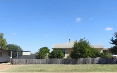 64 Moa & 164 Lily St Balranald NSW 2715