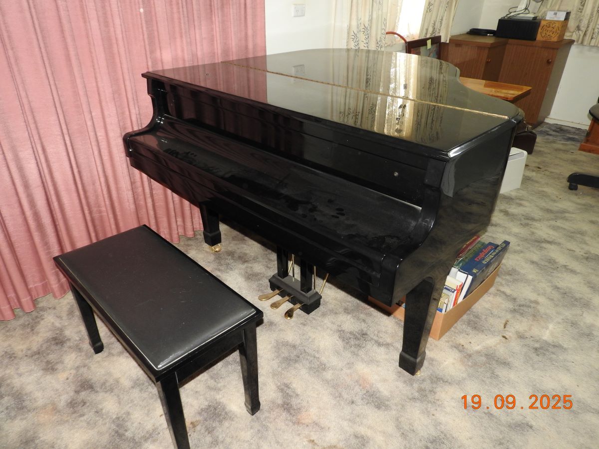 DSCN0334