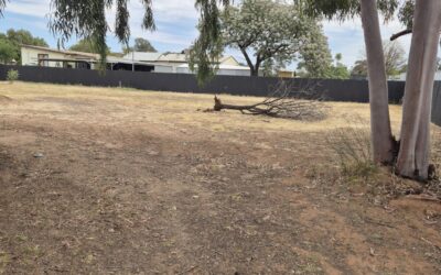 62 Moa St Balranald NSW 2715-duplicate-1